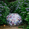 雨の日の昭和記念公園、アジサイとハナショウブを見て歩く、紫陽花傘を手に