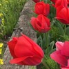 春の交通安全運動で捕まるな！この時期にしていること