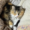 メモ　それ結構怖いので