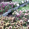 4月21日！ なんか仕入れすぎていたのか店の中が満タンです！( ;∀;)