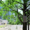 横浜トリエンナーレ2024　リベンジしましたー！