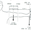 理学療法士　国家試験41-5