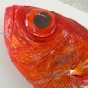 太鼓判の美味しさ・金目鯛・旬の魚料理講座・実習
