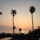 yuriko’s blog