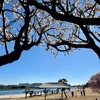 昨年の梅の備忘録 | 大森ふるさとの浜辺公園