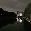 夜ラン 皇居で気合注入