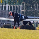 前走と前2走を見れば競馬は勝てます