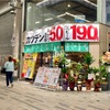 カツデン酒場 油と戯れたいなら推しスポット。ー
