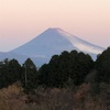 今朝の景色