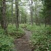 この夏2度目の山梨・そして長野へ　～蓼科山登山スタート～