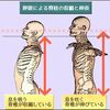 呼吸法以前の話、呼吸と伸長収縮する背骨のこと。