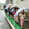 中央っ子、雨の日の日常♪