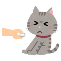 完全版 ペルシャ猫の魅力を飼い主が徹底紹介 最愛の彼女に浮気された男の努力記