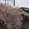 鉄道撮影　四季島　E001系　東海道線　藤沢－辻堂　親水公園