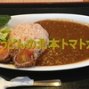 トマトカツがうまい！水織うどんの北本トマトカレーの特徴と感想！