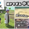 「ポケモンレジェンズ アルセウス」に隠れた細かすぎる小ネタ集！