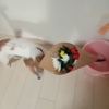 お墓まいりへ