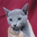 Ran Ran（アラフォー親父）のお金の教科書