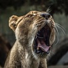 グダグダ言うてますけども