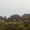 今朝の景色