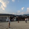 徒然、2024/8/19、20の朝。