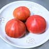 驚くほど簡単！硬いトマトをすぐ柔らかくする裏ワザ