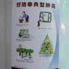 人類学A 西暦2020年度