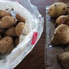 じゃがいも種芋を何とか確保🥔