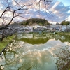 玉縄の谷戸池（神奈川県鎌倉）