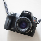 SONY最期のレフ機 α550 - 雑食カメラマンの雑感記