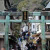 神社・寺院の御朱印　（江島神社　江の島大師　瀧口寺　皇大神宮　白旗神社）