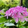 不穏な朝｜頭の中のメモ帳が消えた