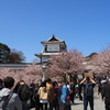 ２０１９年「石川門のお花見」