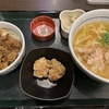 鳥塩うどん