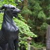 リベンジ三峯神社　❷