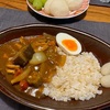 【初めてシリーズ第36弾　ヒルカントリーレッド＆夏野菜のジャワカレー】