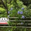亀山温泉②
