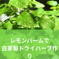 ハーブ育成日記 レモンバームの使い方 乾燥ハーブだけではない アルの備忘録