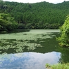 仏坂池（長崎県波佐見）