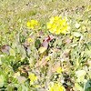 物価がどんどん上がってる、勘違いなんかじゃない！