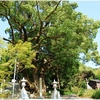 延喜式内・玉祖神社写真館（１０/５）