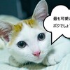 気持ちの悪い言い回し