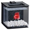 ジェックス楽アクア：ベタ飼育に革命！水換えが劇的に楽になる小型水槽を徹底レビュー