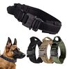 「もう飛び出さない！」ALLMIRA 犬 首輪が大型犬との散歩を一変させる、秘密のハンドル機能