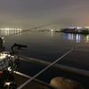 みなとみらいでアジ・サバ調査☆彡