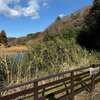 冬の茅ヶ崎里山公園を散歩する、1日410円で自然を堪能