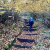 「沼ノ平」へ紅葉を見に