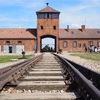 ユダヤ人強制収容所、アウシュビッツで思う事【当日ツアー情報◎】