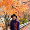 日本　もみじ並木の紅葉