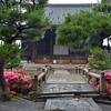 要法寺のさつき、見頃や開花状況。